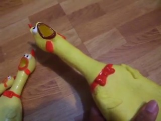 chinese chickens - toys
