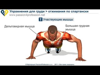 chest exercises - spartan pushups