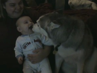 husky and baby (suleymanovi ucoz.com)