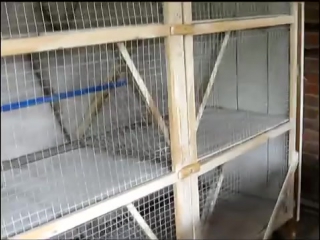 cages for rabbits diy (video 2)