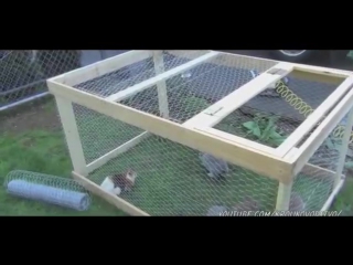 do-it-yourself rabbit cages drawings we build a cage