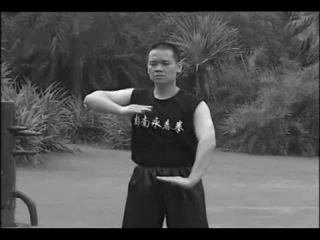 pan nam wing chun