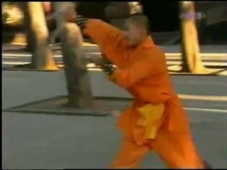 shaolin hu tou shuang gou